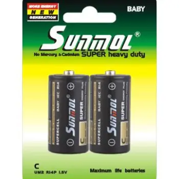 1.5V UM2 C size R14 - B2PB Battery
