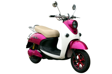 Electric Scooter Electric Bike (TDWBD573Z)
