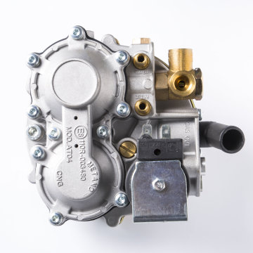 Chinese Manufactured CNG, LNG, and LPG Gas Components for Automotive Applications: ECUs, Regulators, and Fours-Cylinder Systems