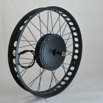 48v 1000w Fat Tire Hub Motor Snow Bike