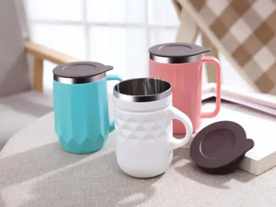 Stainless Steel Handle With Portable Double Insulated Glass