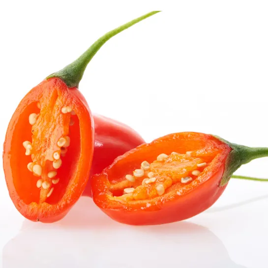 Free Sample supplied Eu Goji Berry