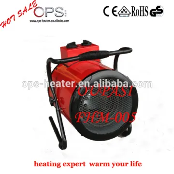 electric fan heater with heating element temperature controller