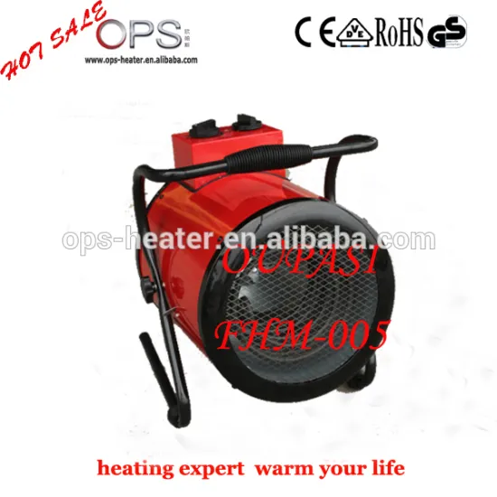 electric fan heater with heating element temperature controller