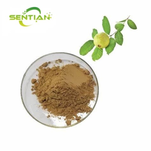 Organic Phyllanthus Emblica Extract Gallic Acid