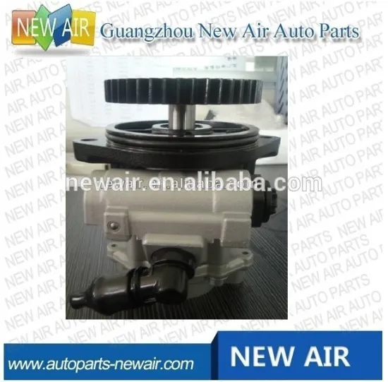 5410019810 for Chevrolet S10 power steering pump