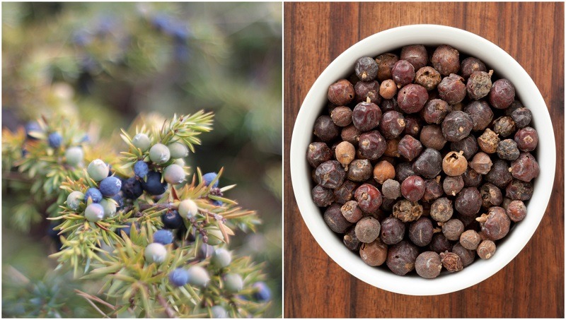 100% Pure Therapeutic Grade Juniper Berry Essential Oil