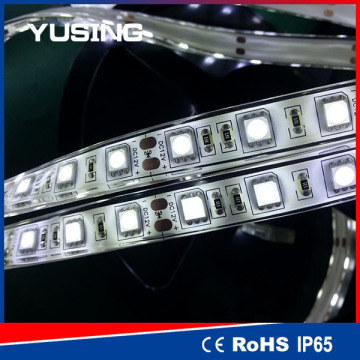 New design 12v 5m smd5050 strip led