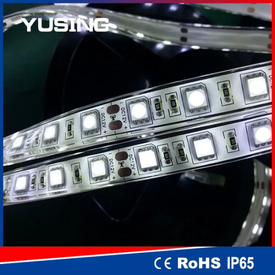 New design 12v 5m smd5050 strip led