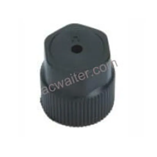 R134a R12 AC Universal High Side Low Side Valve Core and Dust Cap Set