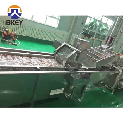Tomatoes Carrot Vegetable Fruit Washing and Drying Machinery