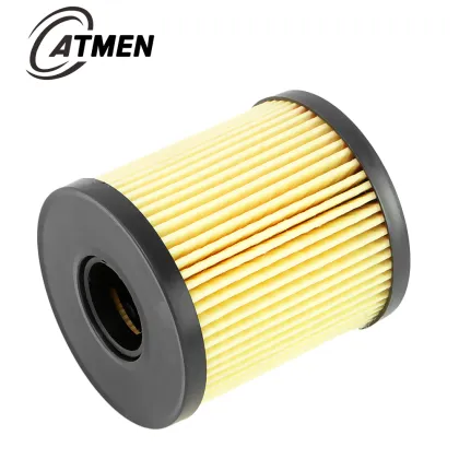 Auto Oil Filters Element 1717510 LR001247
