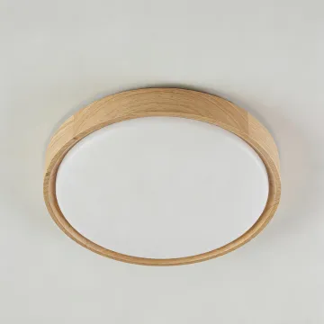 Quiet LED ceiling lamp for bedrooms