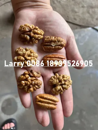 Green Walnut Shell Cracking and Kernel Separation Machine