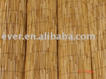 reed fencing
