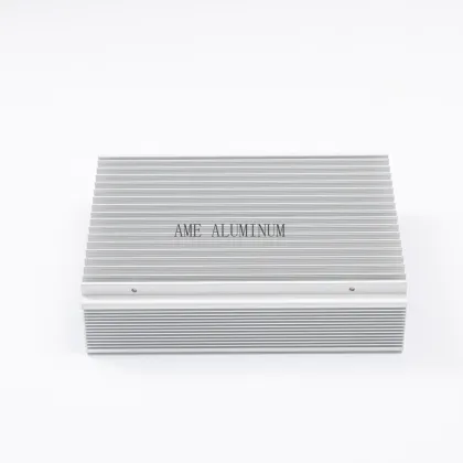 OEM Enclosure Electrical Aluminum Module Case Anodized
