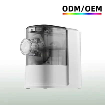 ODM OEM Wholesale H9 Mini Automatic Pasta Noodle Making Machine