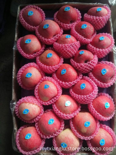 small red fuji apple on sale China small apple size export to nepal