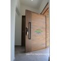 High-Standard Fashion Design Stainless Steel Entrance Doors: Superior Exterior Security and Pivot Door Solutions