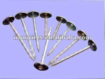 galvanized roofing nail
