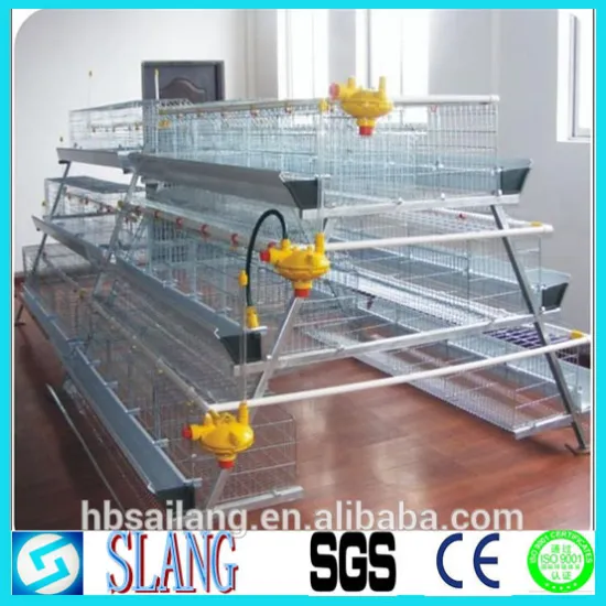 chicken layer cage for sale with chicken cage in China/chicken cage