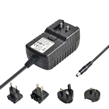 Plug intercambiabile da alimentazione 12V 2A