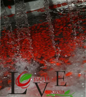 Fresh Organic Goji berry Fruit Juice Powder