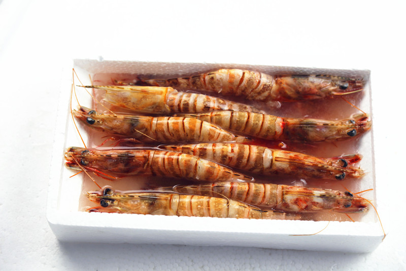 Sea Frozen Shrimp in Good Quality