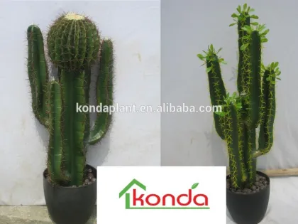 Best selling artificial cactus plants,large cactus indoor plants,christmas cactus plant,mexico cactus plant