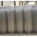 electro galv. welded square wire mesh