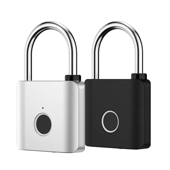 Smart Fingerprint Biometric Suitcase Luggage Padlock