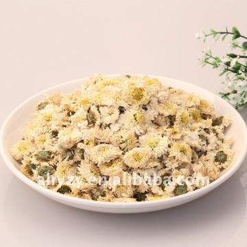 Chrysanthemum(Juhua)