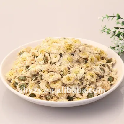 Chrysanthemum(Juhua)
