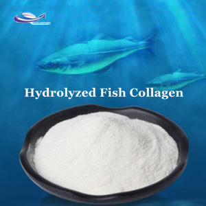 Best Price Hydrolyzed Fish Collagen Peptides Powder