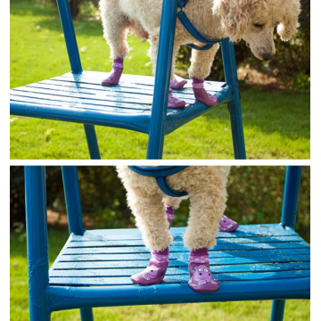 Chaussures d&#39;animal imperméables à la neige de la pluie