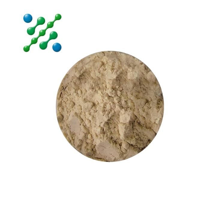 Polvo de extracto de canela estandarizado