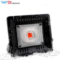 /msite/products/detail/productid/58307930/id/679434.html