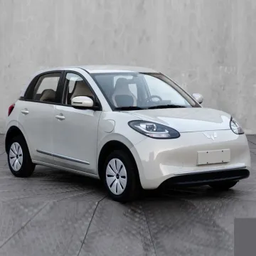 2023 New Electric Vehicle Wuling Bingo EV Fully Enclosed Mini Electric Vehicle