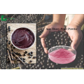 EU Organic Acai Berry Powder NOP Ogranic Acai Powder