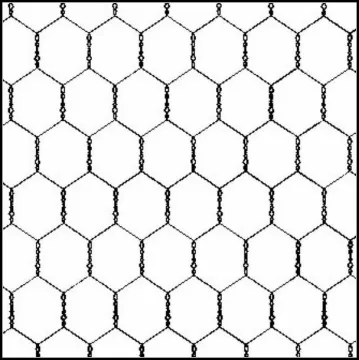 hot dip galvanized hexagonal chicken wire