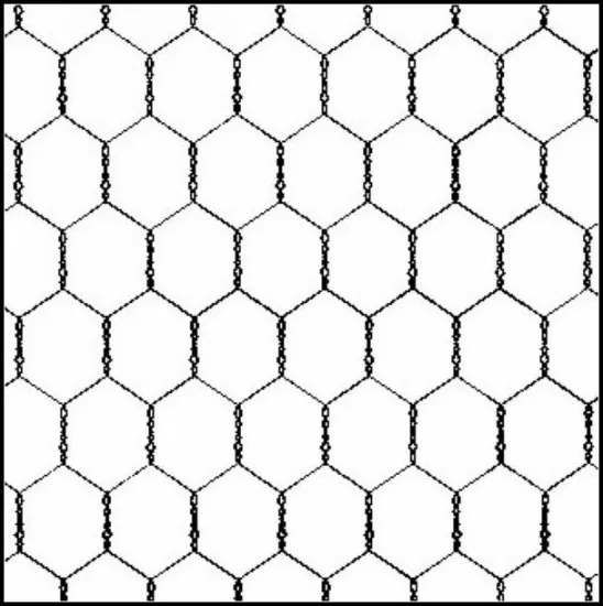 hot dip galvanized hexagonal chicken wire
