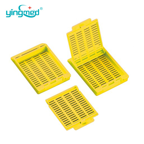 Lỗ vuông sinh thiết mô học nhúng cassette
