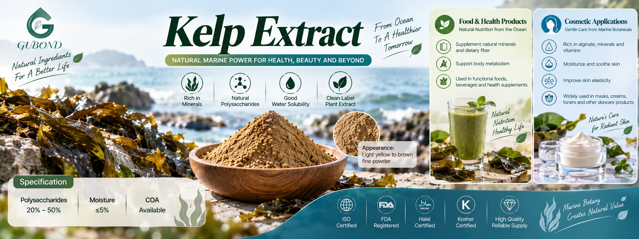Kelp Extract