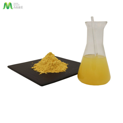 Natural Yellow Cell Wall Broken Pine Pollen Powder