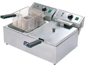 Double fryer, economy
