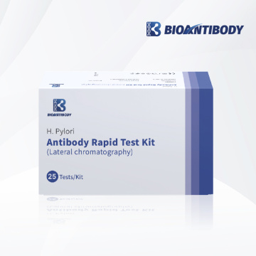 Kit de teste rápido de anticorpo H. pylori (cromatografia lateral)