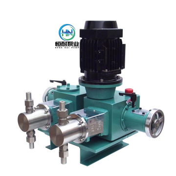 Double-Head Plunger Chemical Dosing Metering Pump