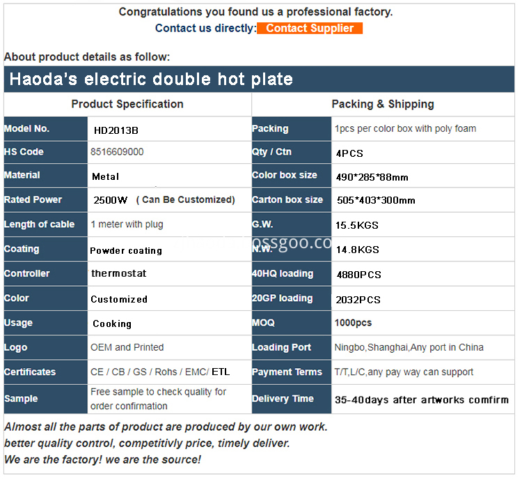 Double Burner Electric Hotplate