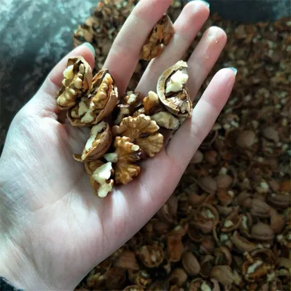 American Walnuts Cracking Machine