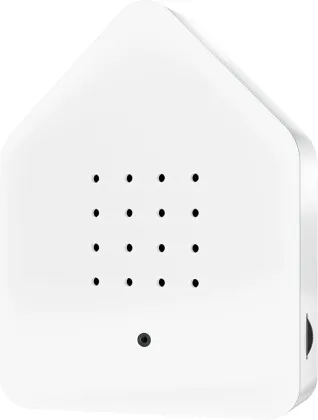 bird song sound box white noise from nature